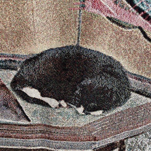 syvisomarlyd