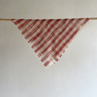 denovembrebandanahorizondeepred