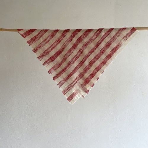 denovembrebandanahorizondeepred