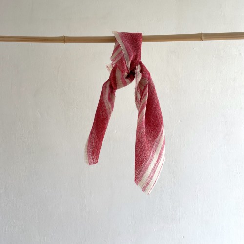 denovembrebandanapoloredpink2