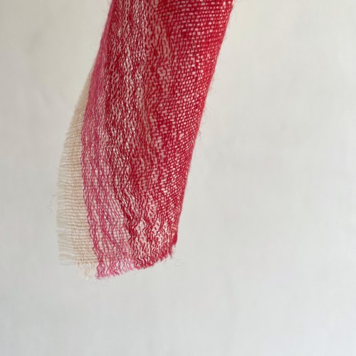 denovembrebandanapoloredpink2ddd