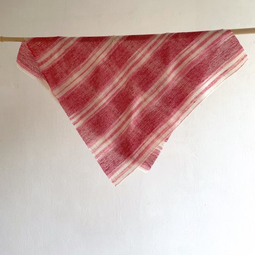 denovembrebandanapoloredpink