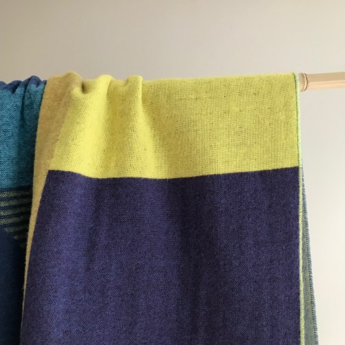 donnawilsoncarnivalthrowddddd