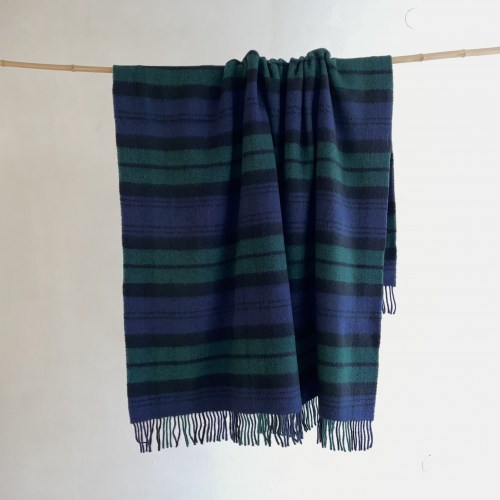 hanlymctarranbluegreen2