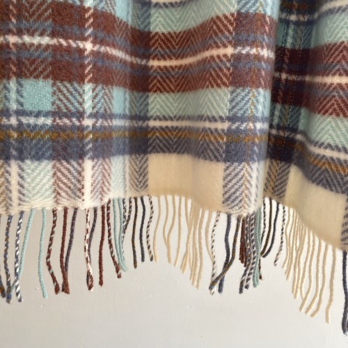 hanlymcwwbrownlightblueddd