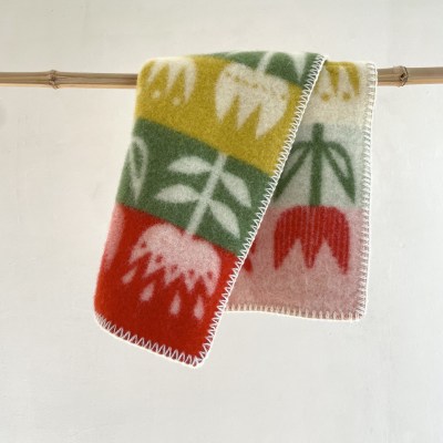 klippansitztulpenbunt57