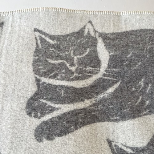 lapuancatpartygreywhitedd
