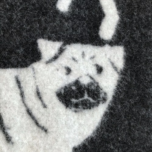 lapuankankurithundeddddd7