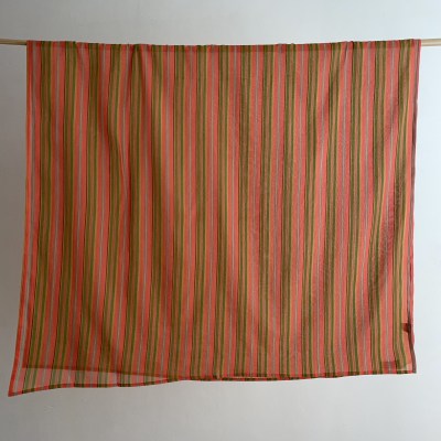 lestouristesstoleorangestripes