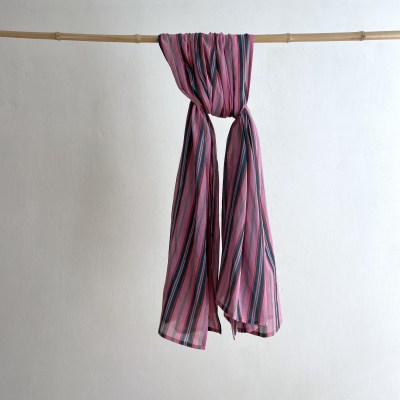 lestouristesstolepinkstripes2