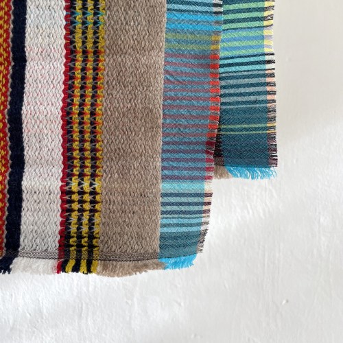 wsscarftippeteuclidfawn2d